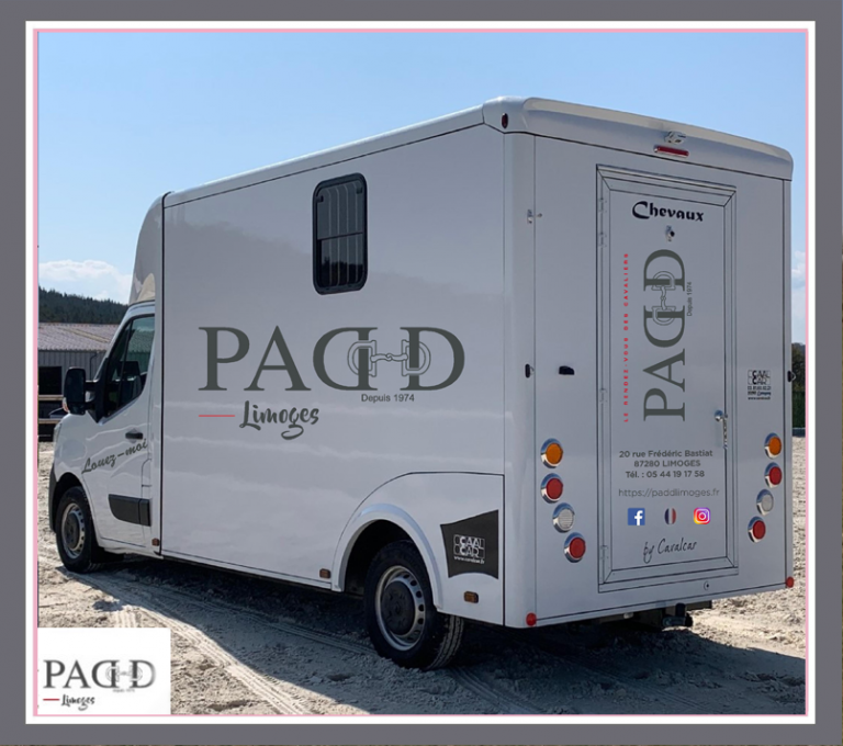 CAMION21