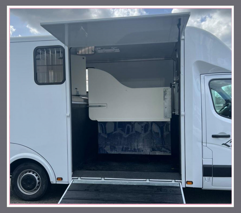 camionintj1